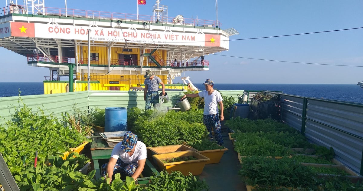 Sống giữa biển khơi