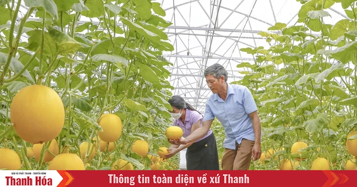 Khó khăn khi phát triển nông nghiệp công nghệ cao