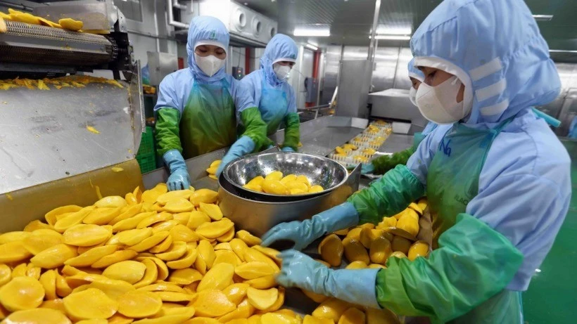 Ấn tượng Việt Nam: Từ quốc gia thiếu đói đến cường quốc nông sản