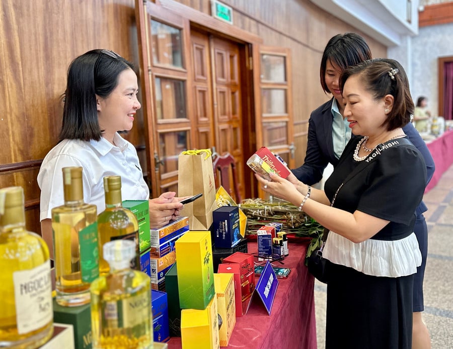 7-mot-so-san-pham-tieu-bieu-cua-gia-lai-trung-bay-tai-dien-dan-kinh-te-tu-nhan-viet-nam-2025-cum-nam-trung-bo-va-tay-nguyen-anh-ha-duy.jpg
