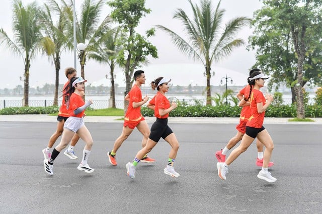 Gần 19.000 VĐV đăng ký giải chạy 'Việt Nam tôi đó' trên cung đường đẹp như mơ- Ảnh 1.