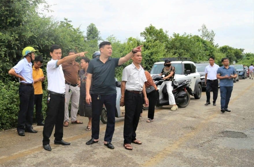 doai-phuong-bg3.jpg
