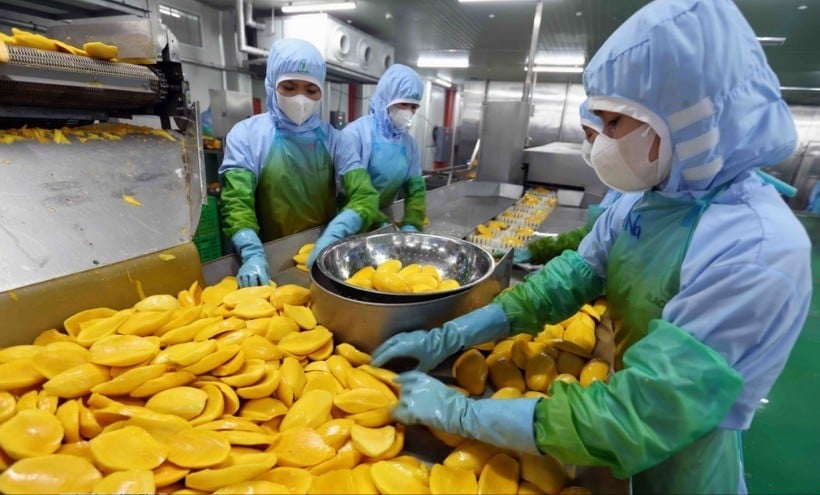 agricultural-processing-export-8342.jpg
