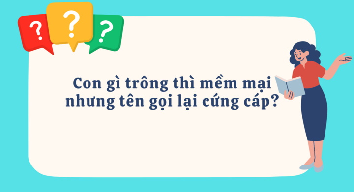 អ្វី​ដែល​មើល​ទៅ​ទន់​ប៉ុន្តែ​ឈ្មោះ​របស់​វា​រឹង​? - ១