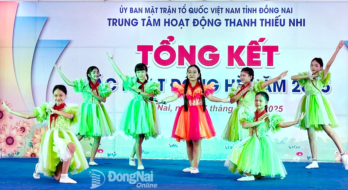 មជ្ឈមណ្ឌលសកម្មភាពយុវជនខេត្ត Dong Nai សង្ខេបរដូវក្តៅ ផ្តល់អំណោយដល់កុមារ