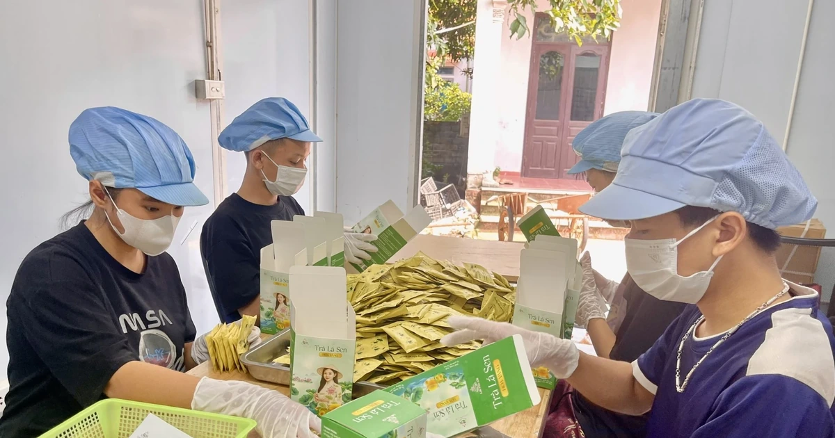 Tăng giá trị nông sản theo tiêu chuẩn VietGAP