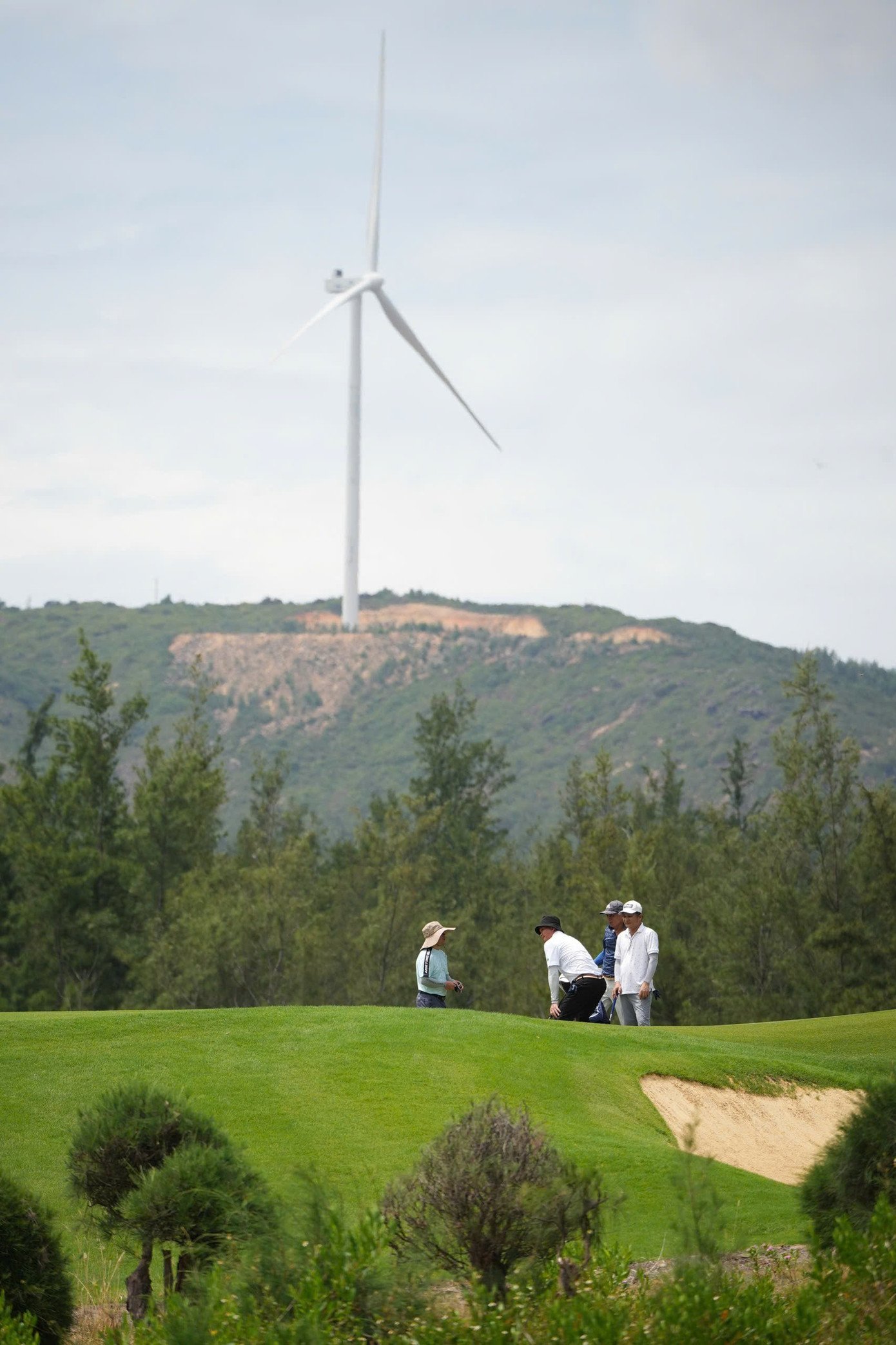 golf-quoc-gia-202529.jpg