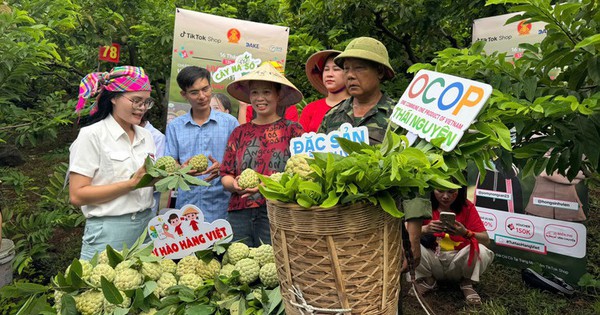 Thái Nguyên: Chốt gần 1.500 đơn trong phiên bán nông sản trực tuyến