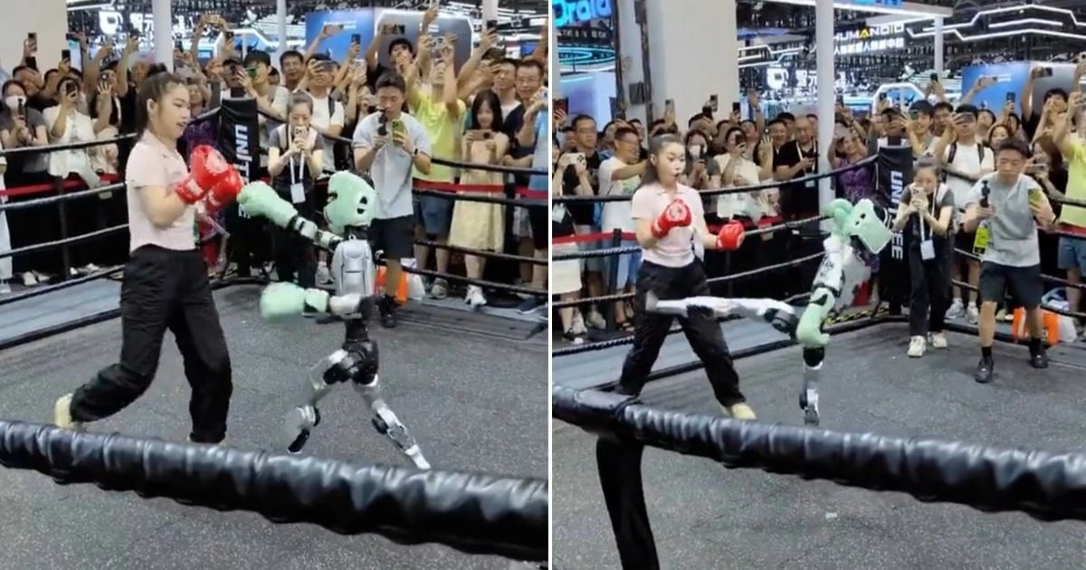 Clip “trận đấu võ tự do giữa con người và robot” nổi bật tuần qua