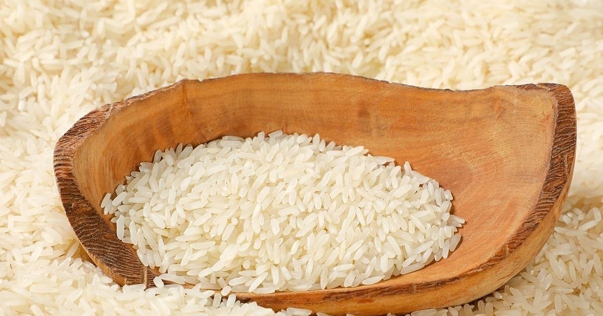 Giá lúa gạo hôm nay 17/8: Nguồn lúa cuối vụ khan hiếm, thị trường đứng giá