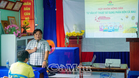 Improving fertilizer use techniques for farmers in Ca Mau