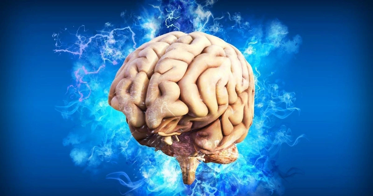Tham vọng 'chỉnh sửa' não người để điều trị bệnh thần kinh