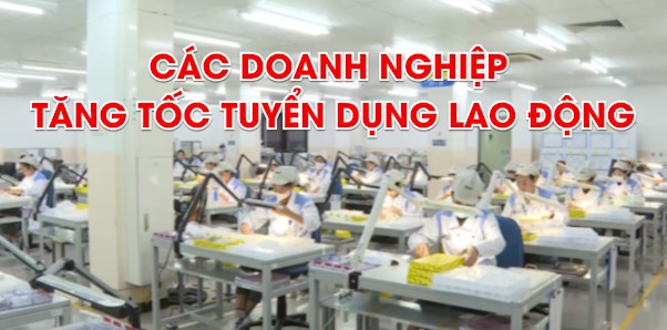 ព័ត៌មានសេដ្ឋកិច្ចសប្តាហ៍ទី 2 ខែសីហា ឆ្នាំ 2025៖ ធុរកិច្ចពន្លឿនការជ្រើសរើសកម្លាំងពលកម្ម