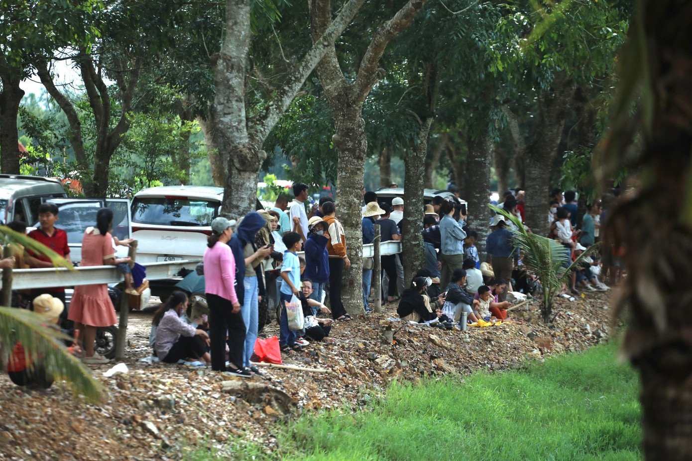imgl0185.jpg