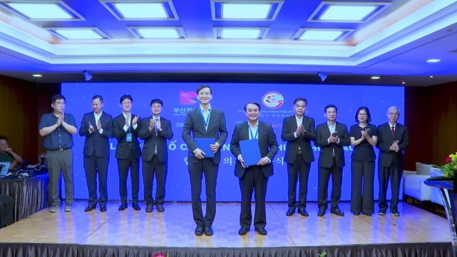 Nâng tầm hợp tác TP.HCM - Busan, mở rộng chuỗi giá trị toàn cầu - Ảnh 4.