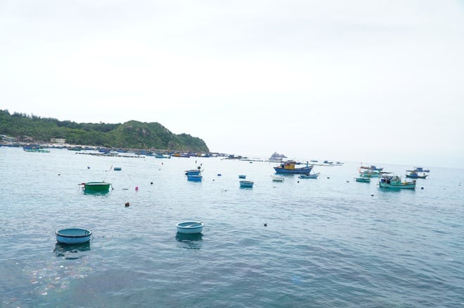Những ngôi làng tuyệt đẹp ven biển: Cù Lao Xanh - viên ngọc giữa biển khơi- Ảnh 14.