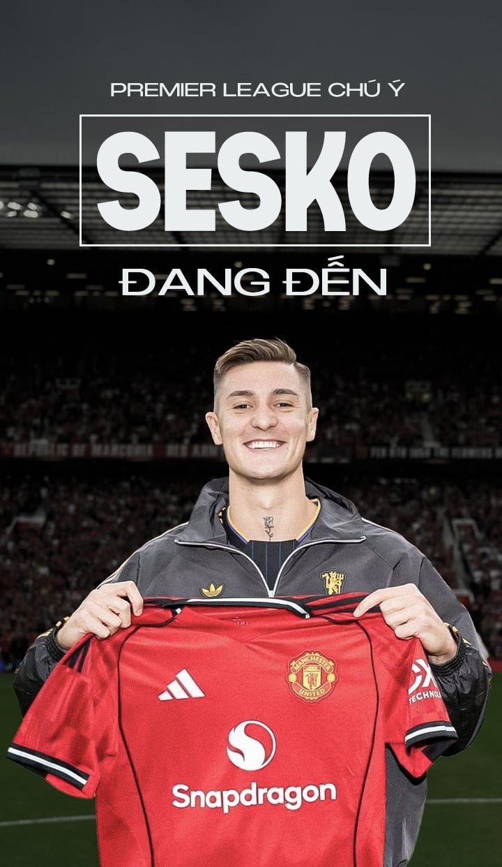 Sesko anh 2