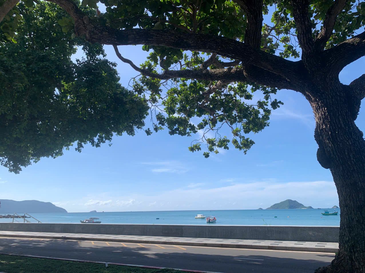 Orte, die Sie bei einem Besuch in Con Dao nicht verpassen sollten – Foto 1.
