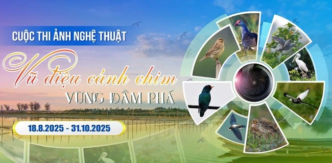 Phát động Cuộc thi ảnh nghệ thuật "Vũ điệu cánh chim vùng đầm phá" - Ảnh 1.