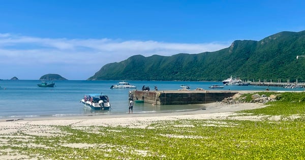Những điểm đến đừng bỏ qua khi đến Côn Đảo