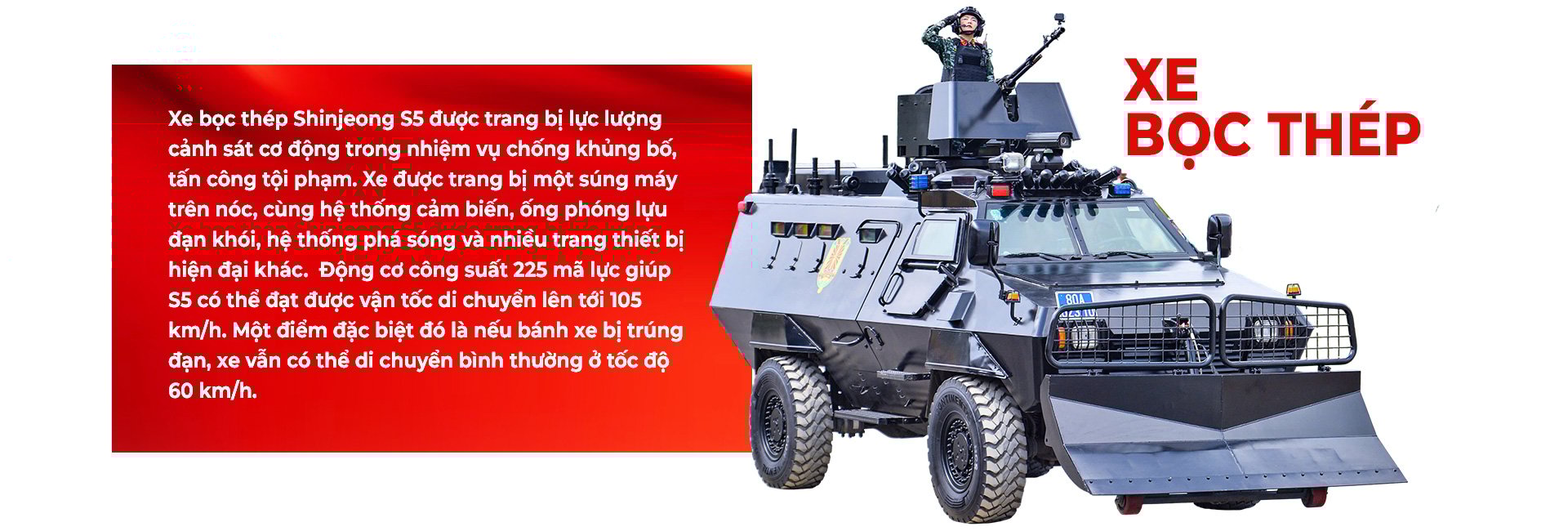 - Ảnh 15.
