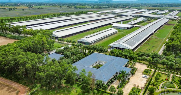 Vinamilk được vinh danh là thương hiệu sữa tiềm năng nhất thế giới