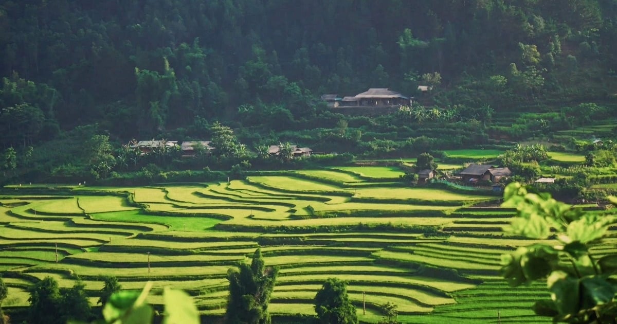 Cô gái Hà Nội ngỡ ngàng khi đến Tú Lệ ngắm sao, tắm khoáng giữa đại ngàn