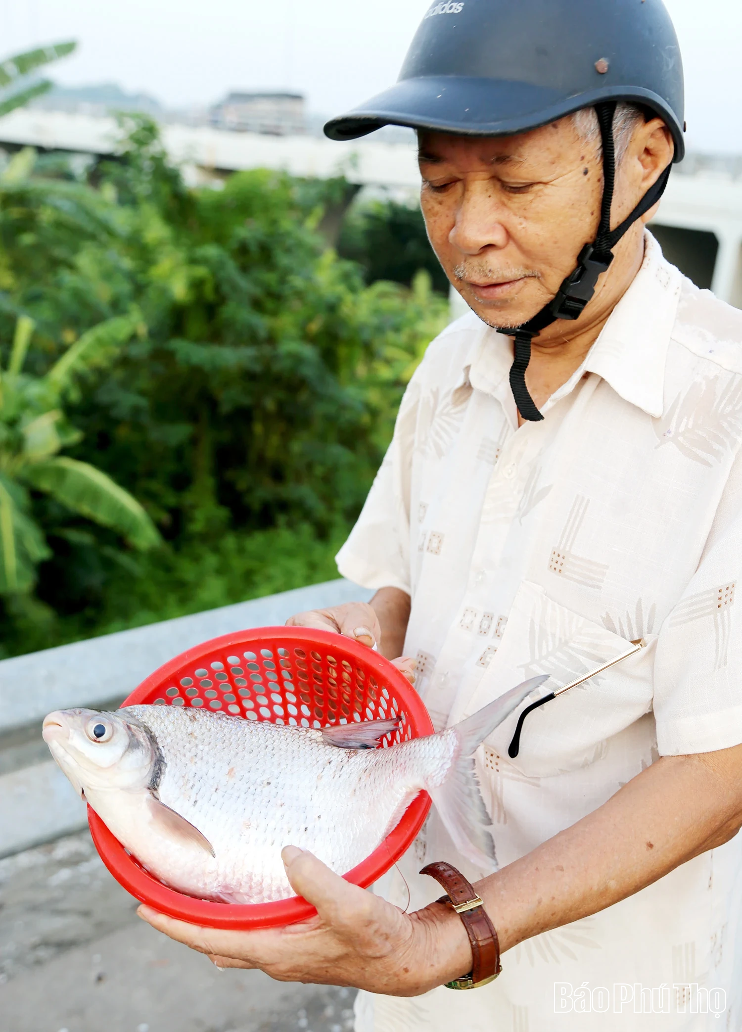 រីករាយជាមួយនំត្រីនៃទន្លេ Lo