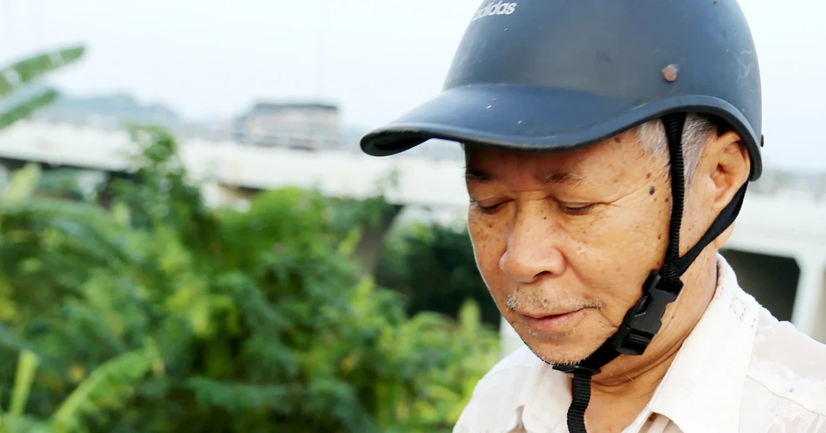 Thưởng thức chả cá Vền sông Lô