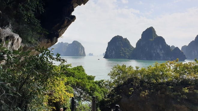 Nghiên cứu thành lập Khu bảo tồn biển vịnh Hạ Long