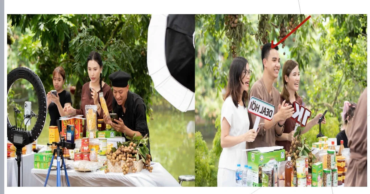 Triển lãm 80 năm thành tựu đất nước: Livestream quảng bá nông sản các vùng miền