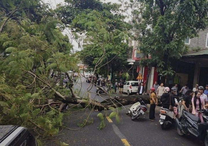 Hiện trường nơi xảy ra sự việc.