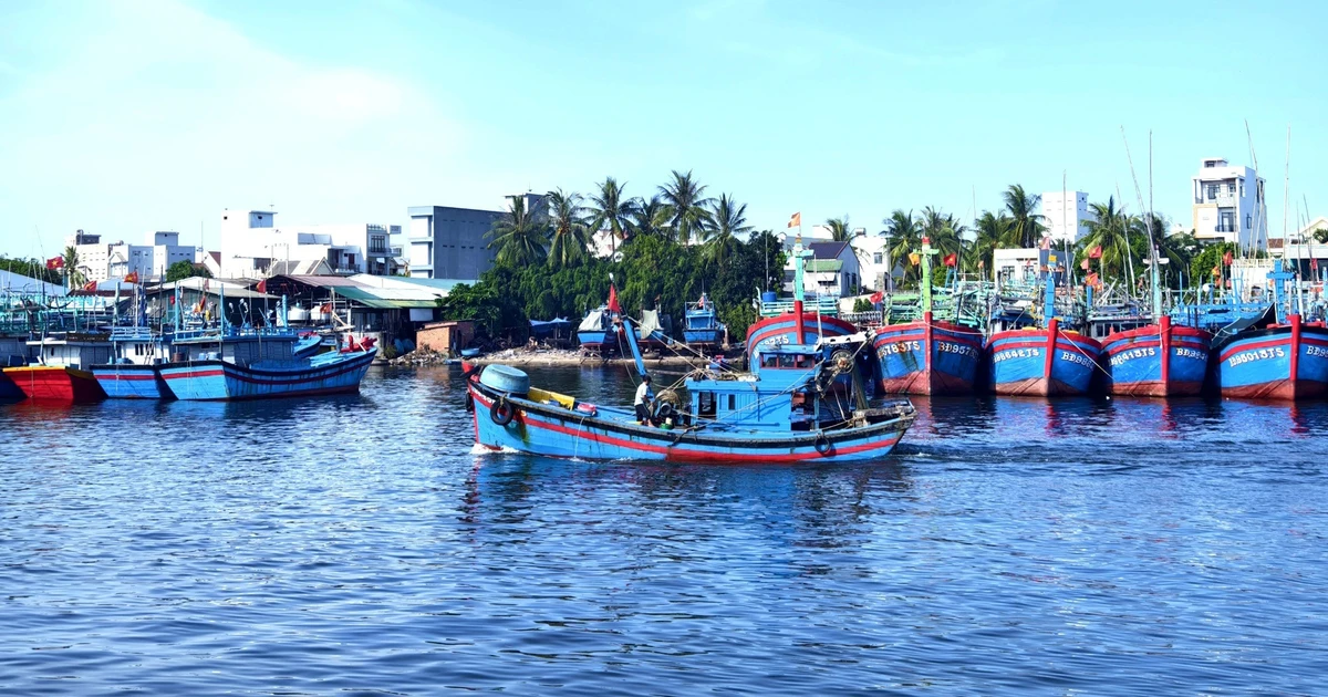 Hoài Nhơn Bắc đầu tư xây dựng kết cấu hạ tầng một cách đồng bộ
