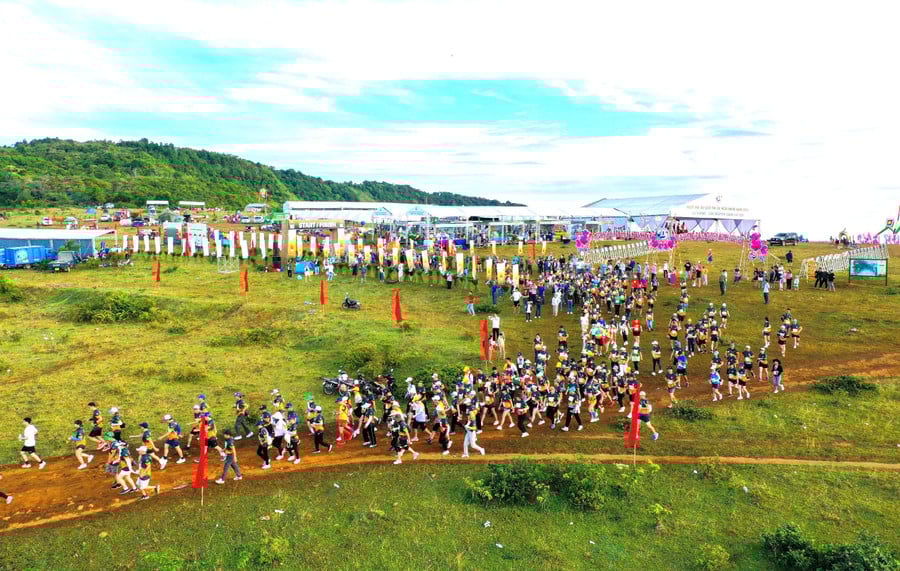 85.jpg
