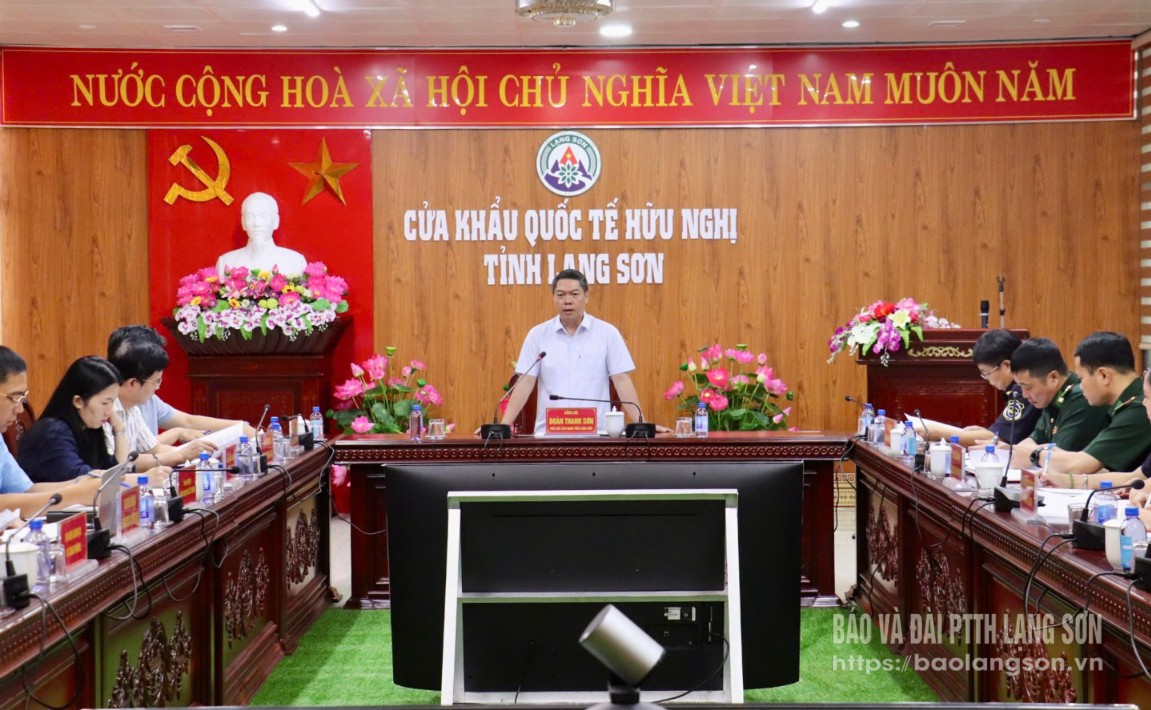 Genosse Doan Thanh Son, stellvertretender Vorsitzender des Volkskomitees der Provinz, sprach bei der Inspektionssitzung.