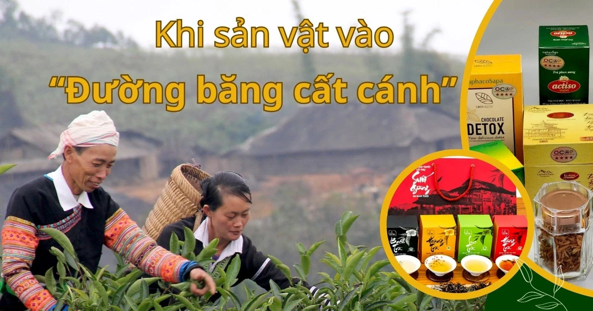 Khi sản vật vào “đường băng cất cánh”