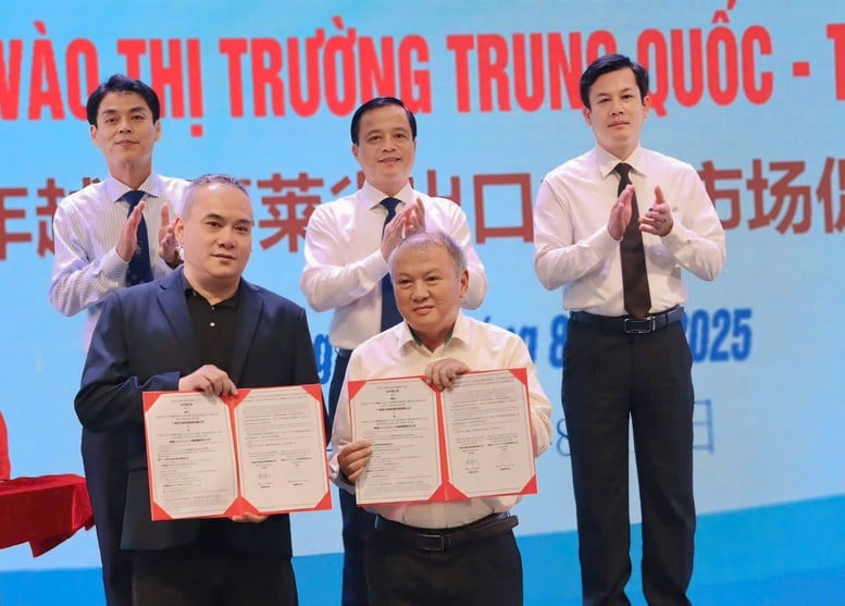 Gia Lai xúc tiến xuất khẩu nông sản vào thị trường Trung Quốc- Ảnh 1.