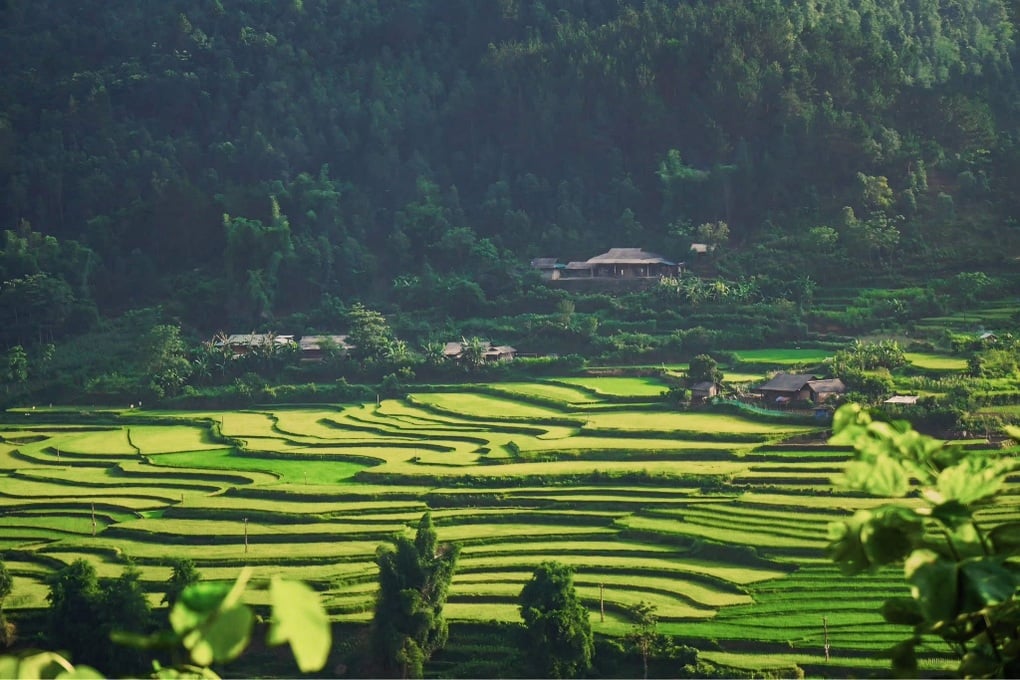 Cô gái Hà Nội ngỡ ngàng khi đến Tú Lệ ngắm sao, tắm khoáng giữa đại ngàn - 4