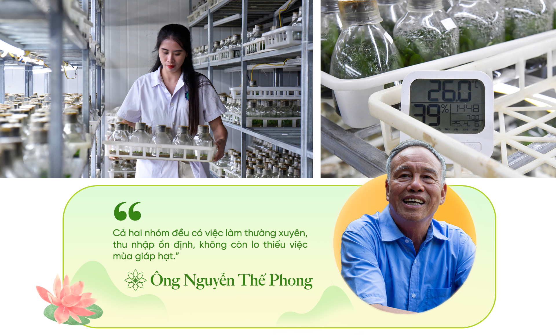 Lotus flowers grow in barren land to give Vietnamese countryside more houses and cars - 21