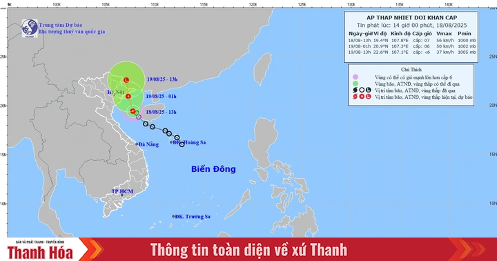 Tropical depression about 70km from Bach Long Vi special zone, level 9 gusts