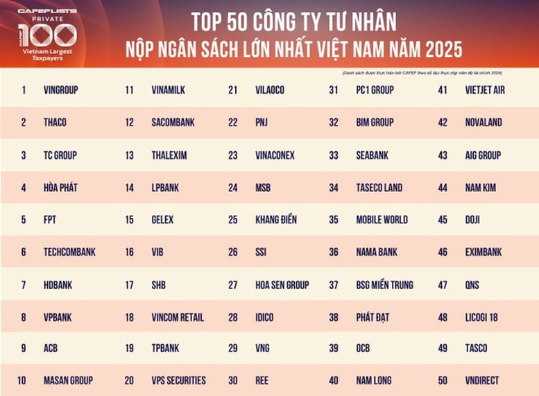 100 doanh nghiệp tư nhân dẫn đầu PRIVATE 100 nộp ngân sách 244.400 tỷ đồng- Ảnh 1.