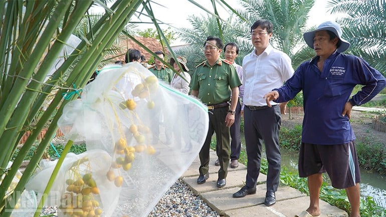 ក