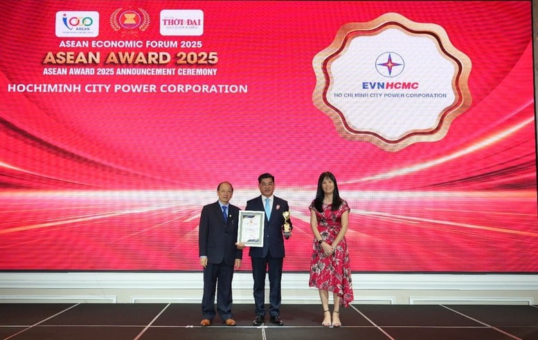 EVNHCMC được vinh danh tại Diễn đàn Kinh tế ASEAN- Ảnh 1.