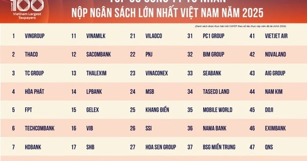 100 doanh nghiệp tư nhân dẫn đầu PRIVATE 100 nộp ngân sách 244.400 tỷ đồng