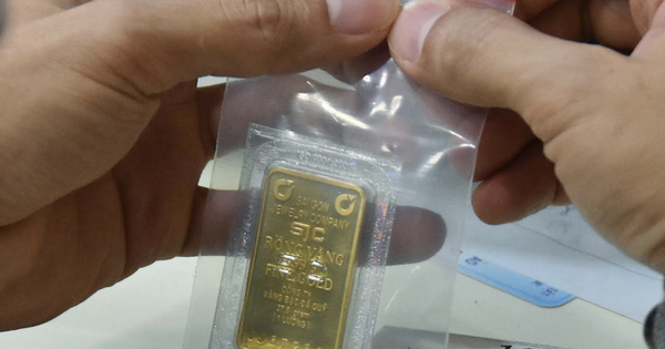 Gold price today August 18: Just opened, already reached the peak