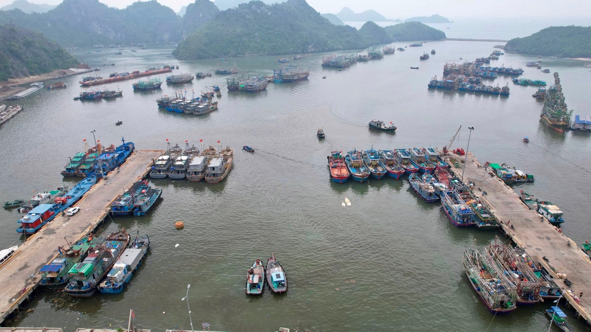 Đặc khu Cát Hải dừng hoạt động trên biển để phòng chống áp thấp nhiệt đới
