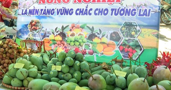 Tập trung phát triển sản phẩm nông sản chất lượng cao ở Yên Châu