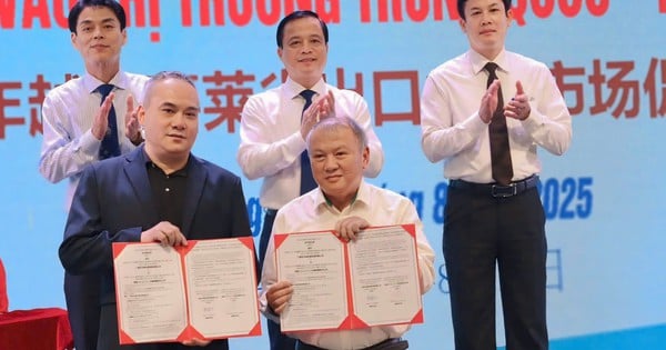 Gia Lai xúc tiến xuất khẩu nông sản vào thị trường Trung Quốc