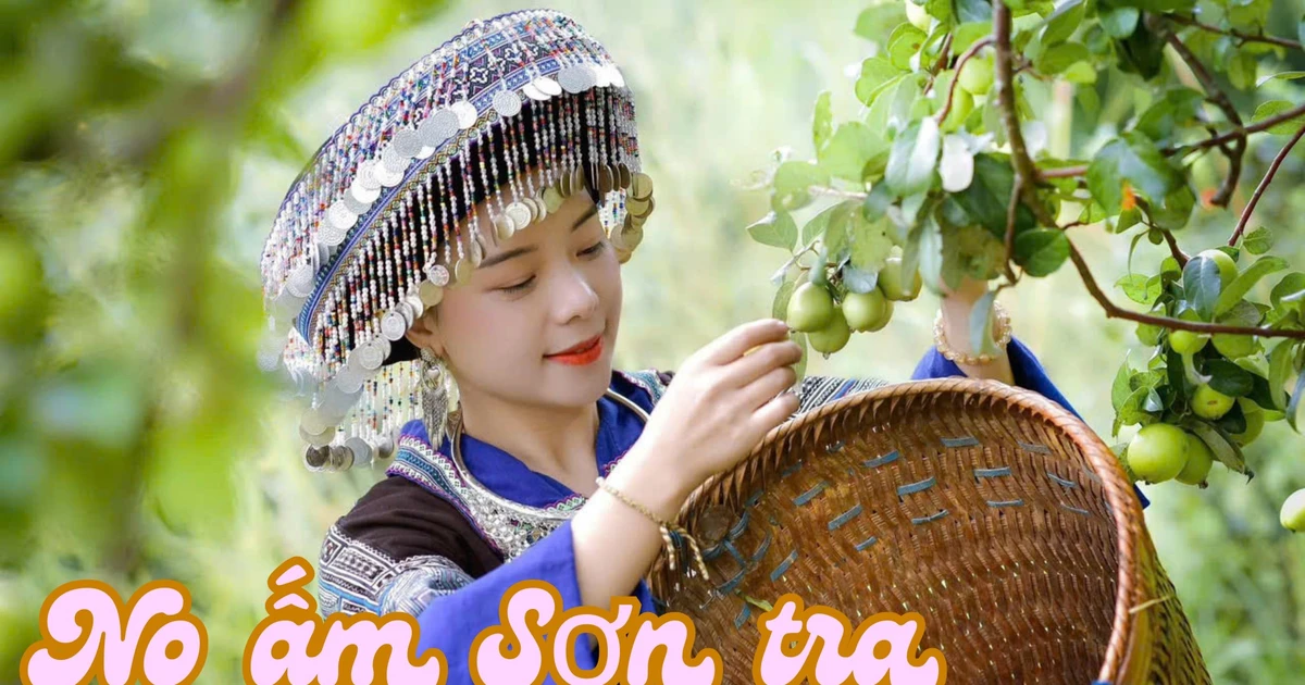 No ấm sơn tra