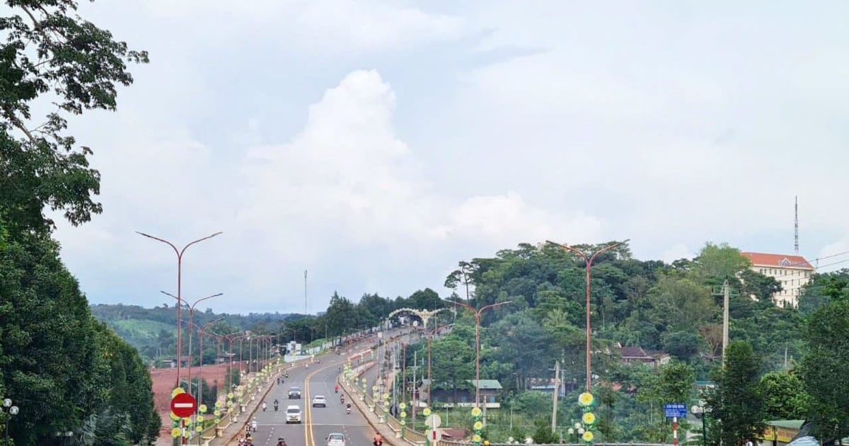 Họ đang đi “làm cách mạng” đó